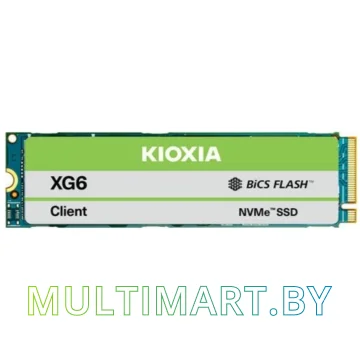 SSD диск Kioxia XG6 1TB (KXG60ZNV1T02)